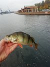IMG_20191022_160053.jpg