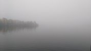 IMG_20191016_092310217.jpg