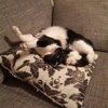 20180506_042907.jpg