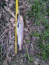 20130424_203628.jpg