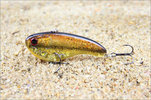 sinking_fishing_lure_vib_60mm_80mm_new.jpg_350x350.jpeg