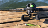 Baitcastrolle mit 5g Jig und 3'' Easy Shiner Baitcastrolle mit 5g Jig und 3'' Easy Shiner