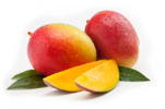 Mango-Arten.png