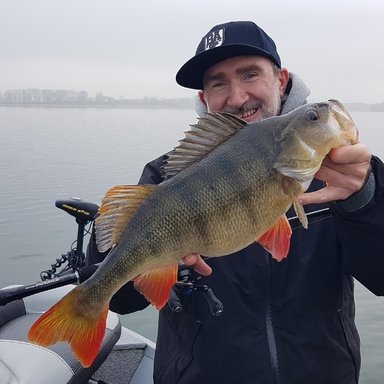 Neckar im Bereich Heilbronn | Barsch-Alarm - das grte Angelforum fr  Spinnangler