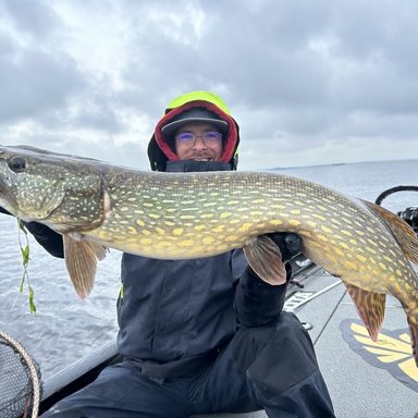 Spinnerbait & Bucktail Rutenfrage | Barsch-Alarm - das grte Angelforum  fr Spinnangler