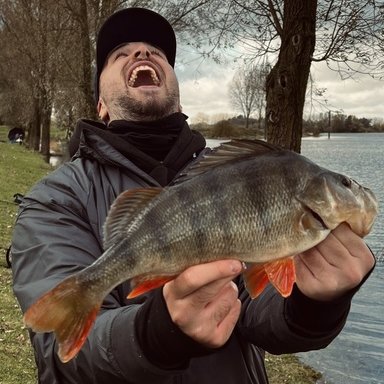 Canne Megabass DESTROYER P5 F3-610X Neuve, Pour Pêcheurs Exigeants