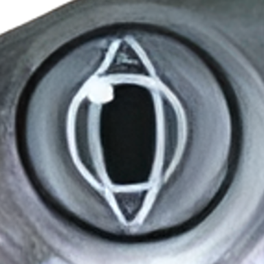 Barschruten-Modelle zum Gebraucht kaufen | Barsch-Alarm - das grte  Angelforum fr Spinnangler