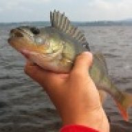 LipnoHunter