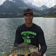 BTeezPerch