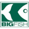 big-fish