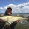troutbaiter