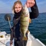 The Queen of Perch