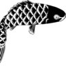 Fishinghunter007