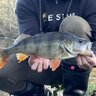 e.g.fishing