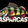 CASPARCAST