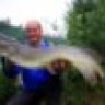 basskiller