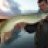Philipp.Hlava