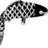 Fishinghunter007