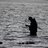 Barsch_Flo