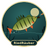 RiedRäuber