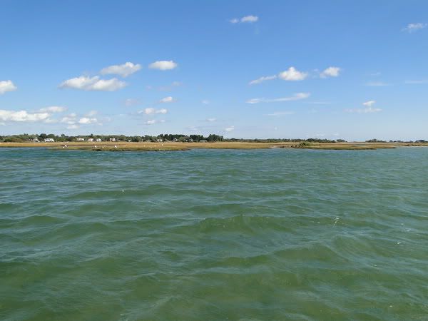 DSC00746.jpg