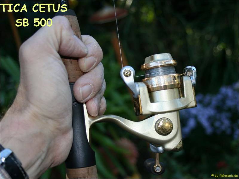 cetus.jpg