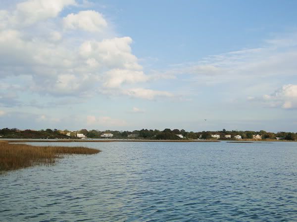 DSC00896.jpg