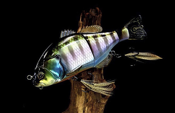 fish-candy.de