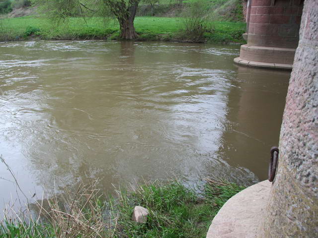 y_sa2006_07.jpg
