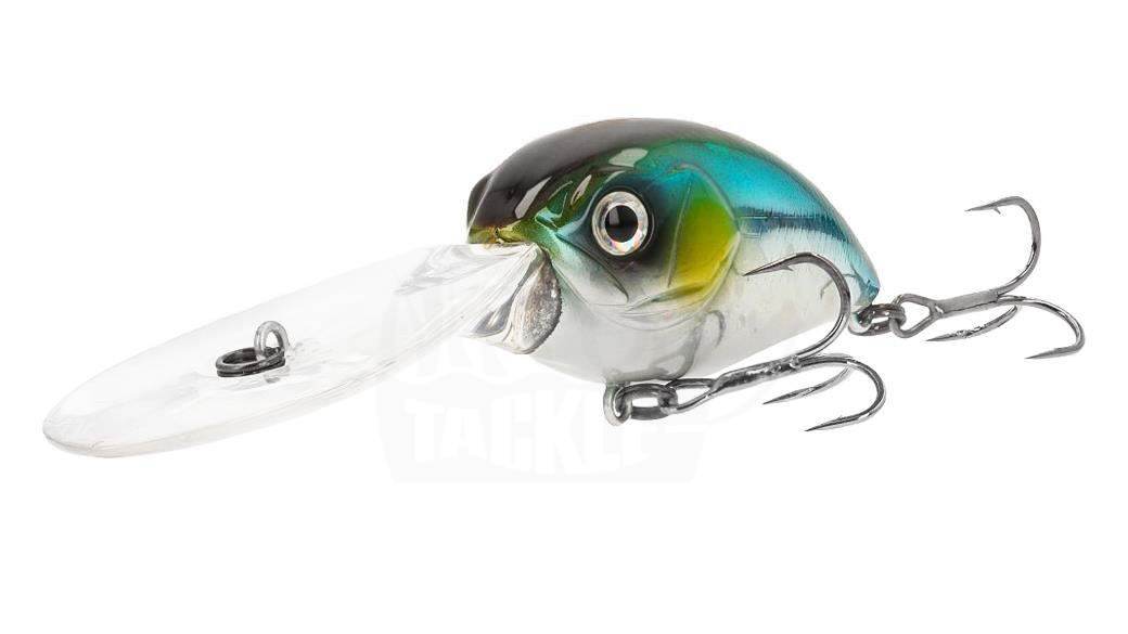 www.nippon-tackle.com