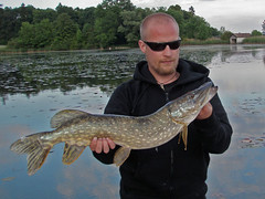 3587078436_eaa89910ac_m.jpg