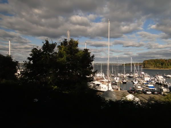 DSC01012.jpg