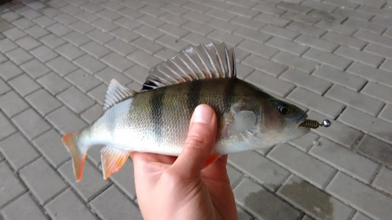 30966080qc.jpg