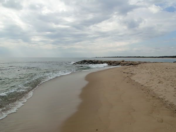 DSC00886.jpg