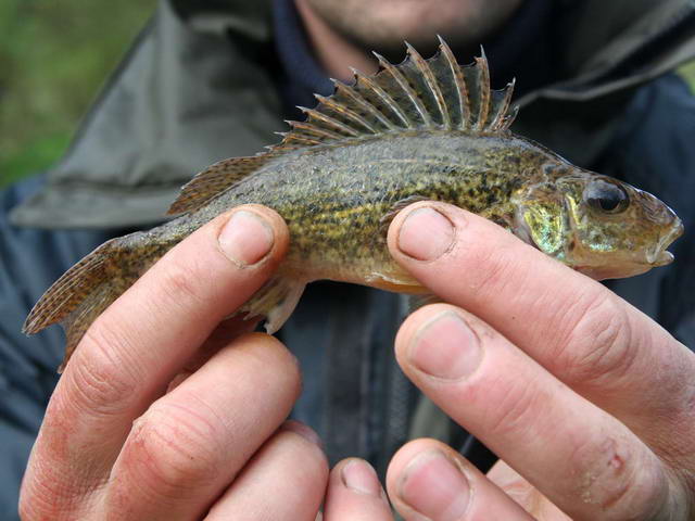 y_sa2006_13.jpg
