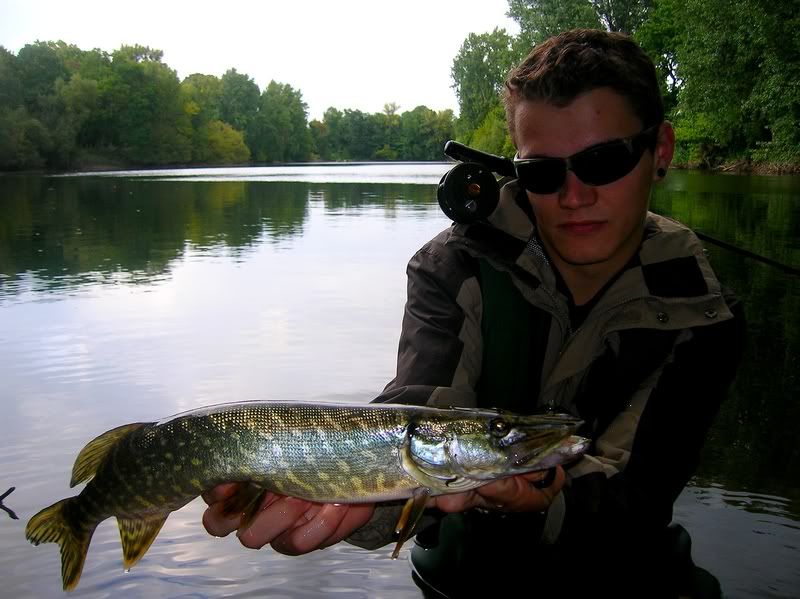 DSCN5350.jpg