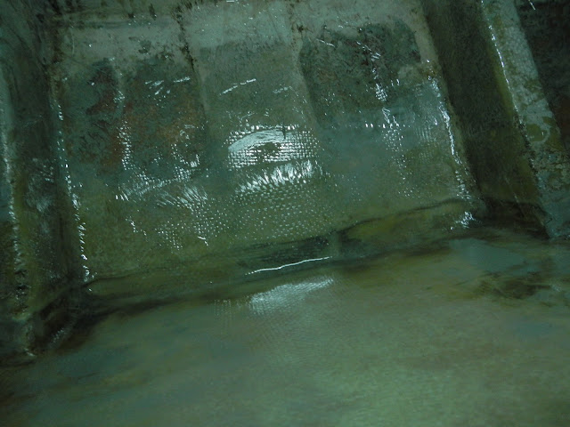 DSCN1083.JPG