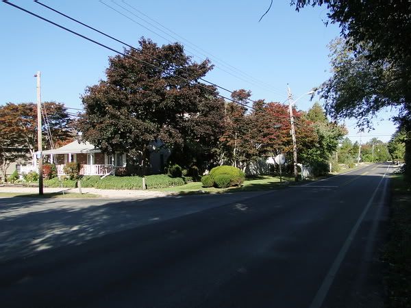 DSC00804.jpg