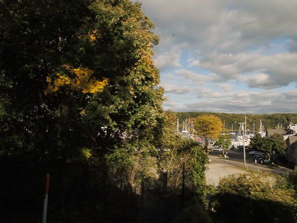 DSC01011.jpg