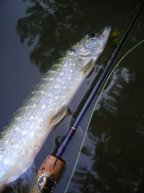 DSCN5359.jpg