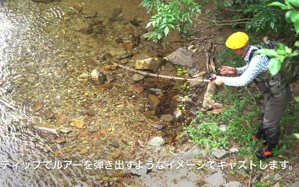 www.bilibili.com