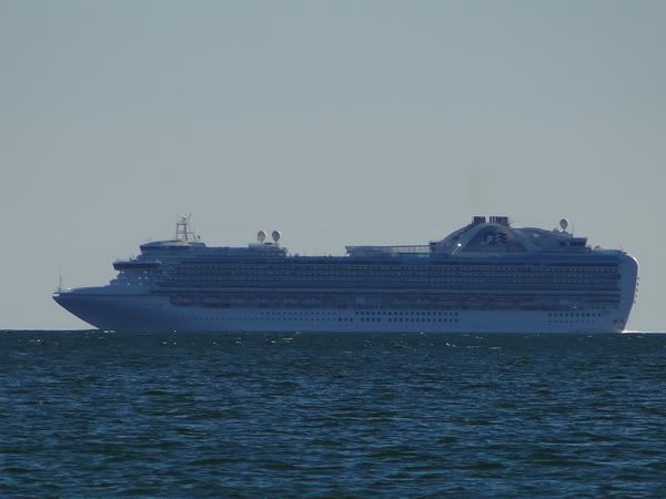 DSC00819.jpg