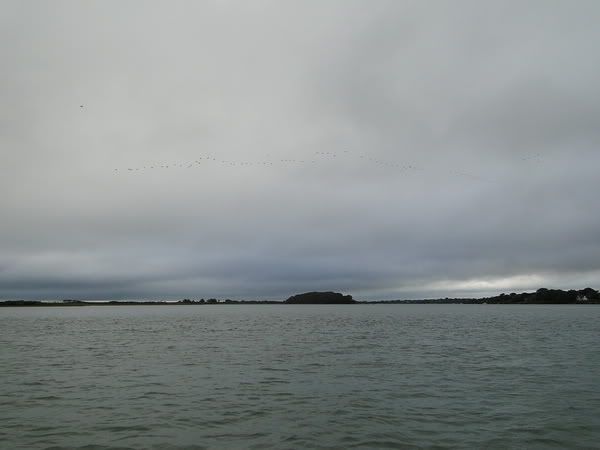 DSC00701.jpg