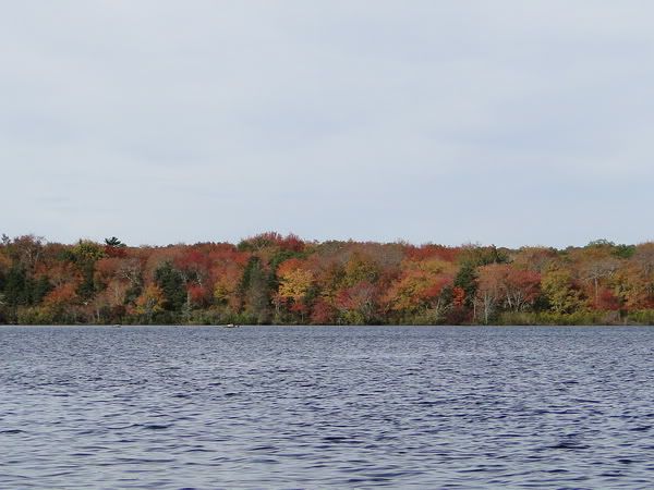 DSC00833.jpg