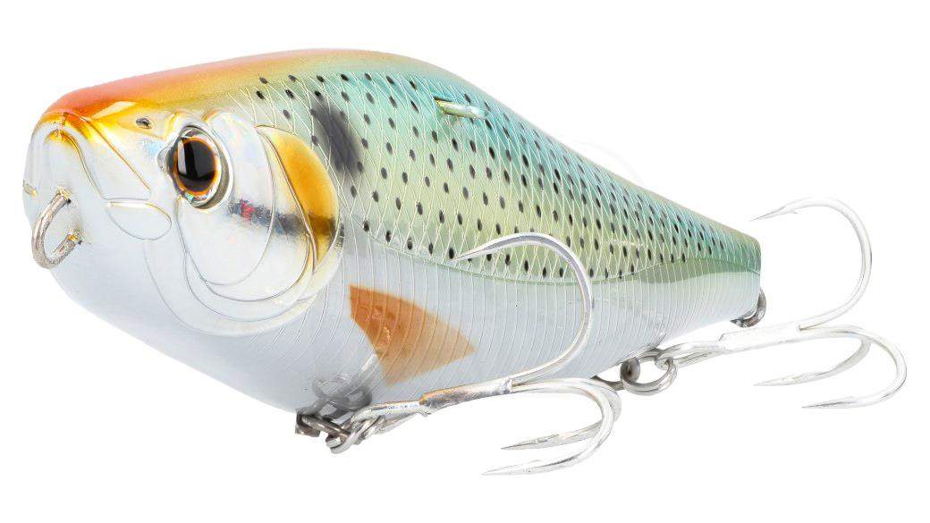 www.nippon-tackle.com