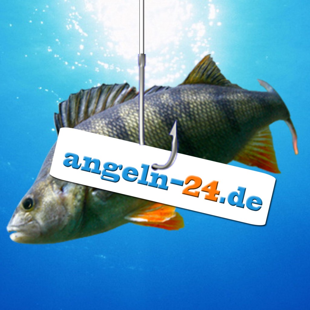 www.angeln-24.de