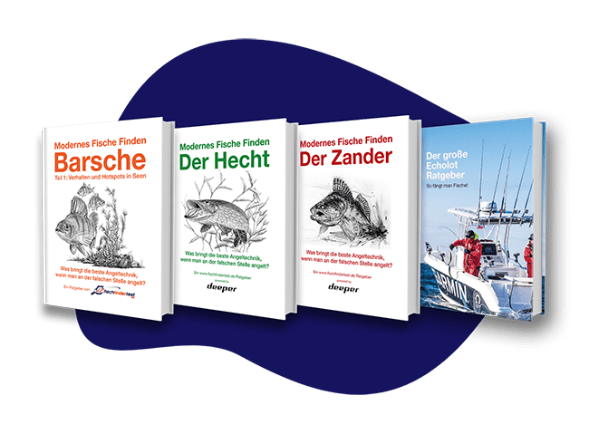 www.fischfindertest.de