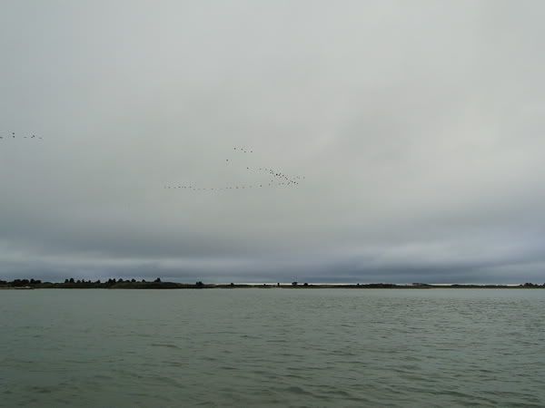 DSC00702.jpg