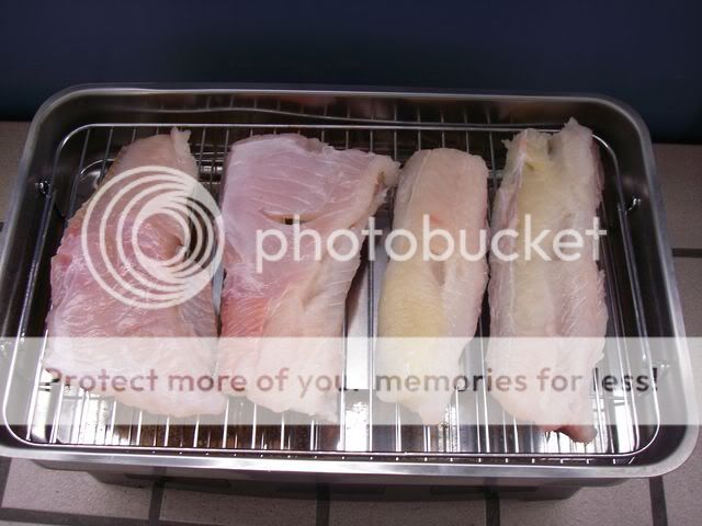 IMGP1322.jpg
