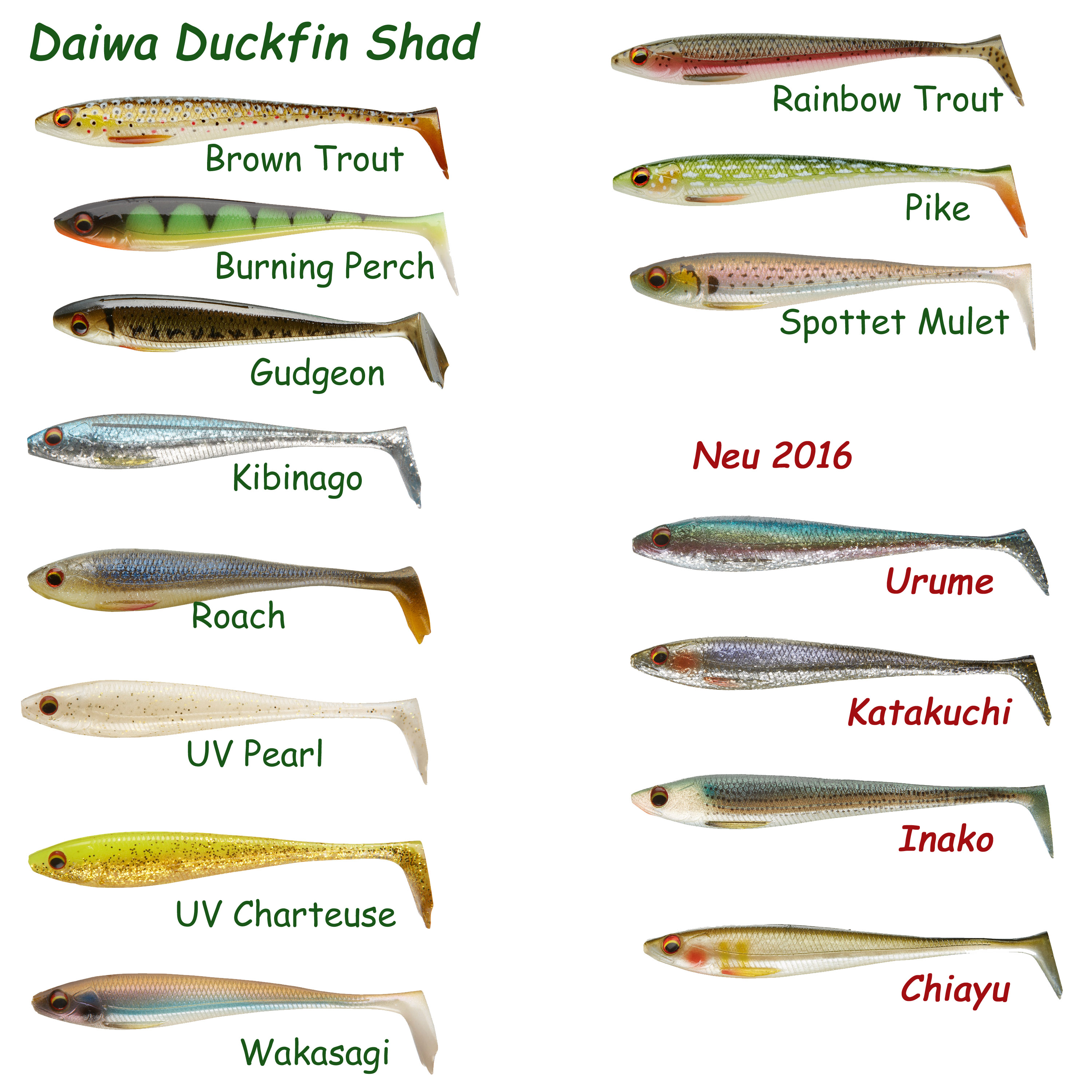 duckfin-web_823_0.jpg
